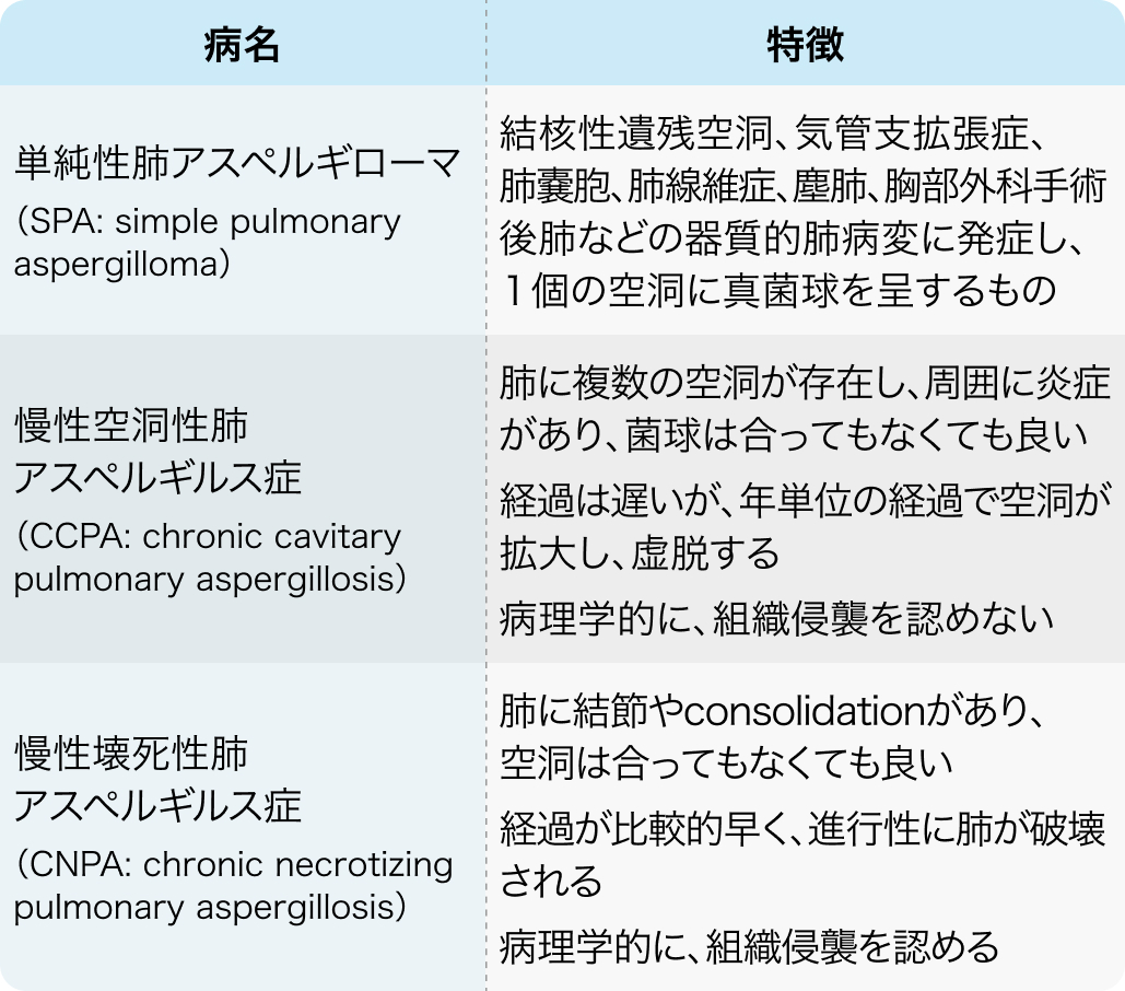 【解説】慢性進行性肺アスペルギルス症 (CPPA) の診断のポイント