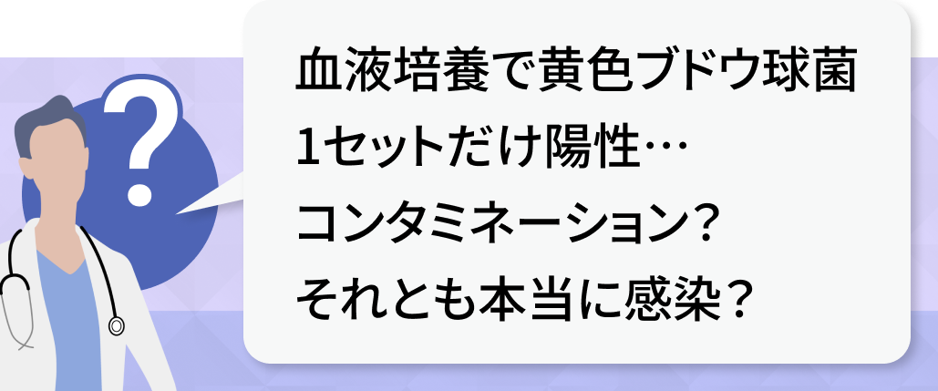 【新連載】黄色ブドウ球菌が血液培養から検出！何を考える？