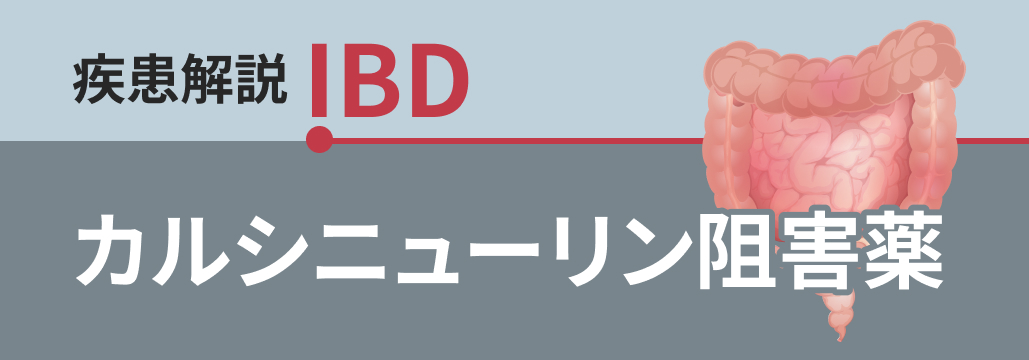 【IBDマニュアル】カルシニューリン阻害薬
