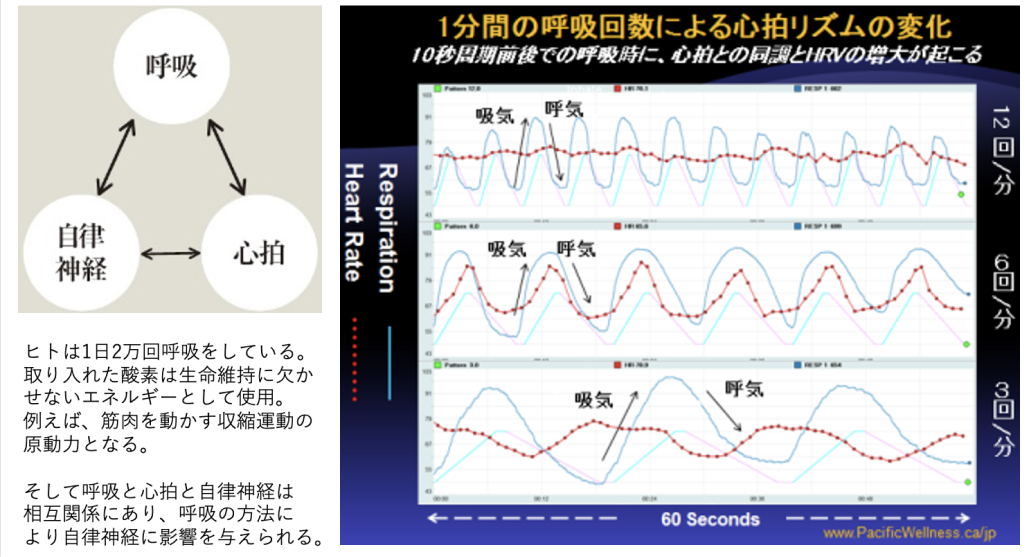 頑張る医師にオススメの呼吸法