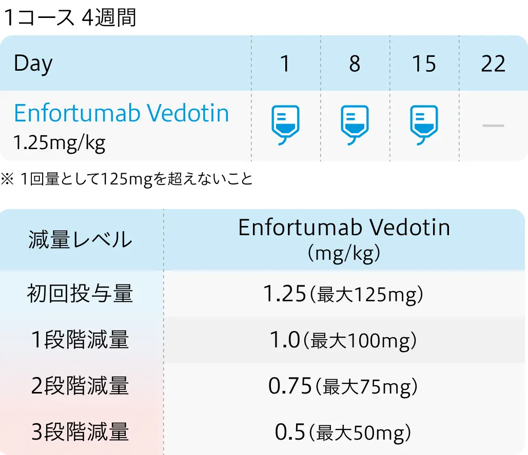 パドセブ ｢尿路上皮癌｣ 等が適応へ-9月の承認情報まとめ-