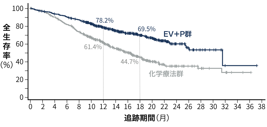 パドセブ ｢尿路上皮癌｣ 等が適応へ-9月の承認情報まとめ-