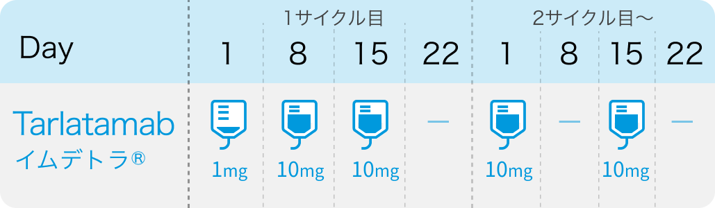 イムデトラ ｢SCLC｣ 等への適応追加-24年12月の承認情報まとめ-