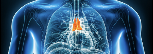 【NEJM】胸腺摘出患者では全死亡・癌のリスクが増加