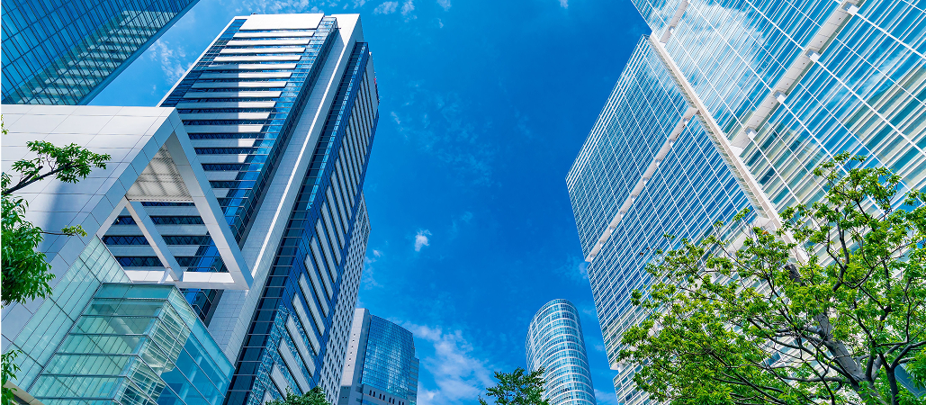 高配当株の企業を見るポイントは?