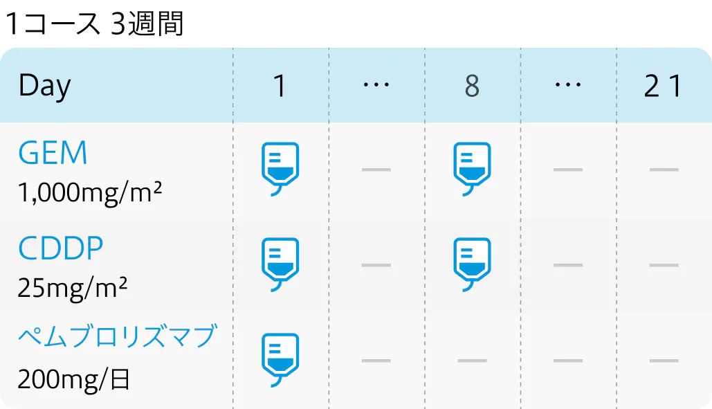 【解説】切除不能胆道癌に対する1次薬物療法の選択肢は？