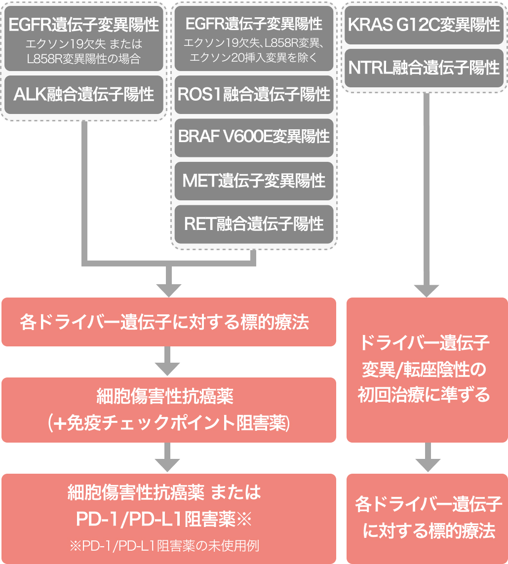 【レジメンまとめ】Ⅳ期 非小細胞肺癌 NSCLCと分子標的薬 (適正使用ガイドとレジメン)