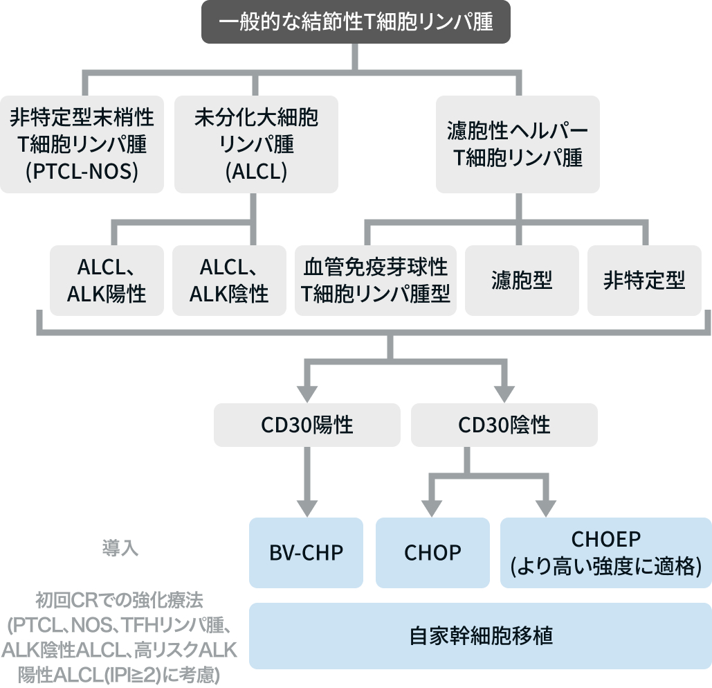 【一挙紹介】悪性リンパ腫に関する治療アルゴリズムまとめ