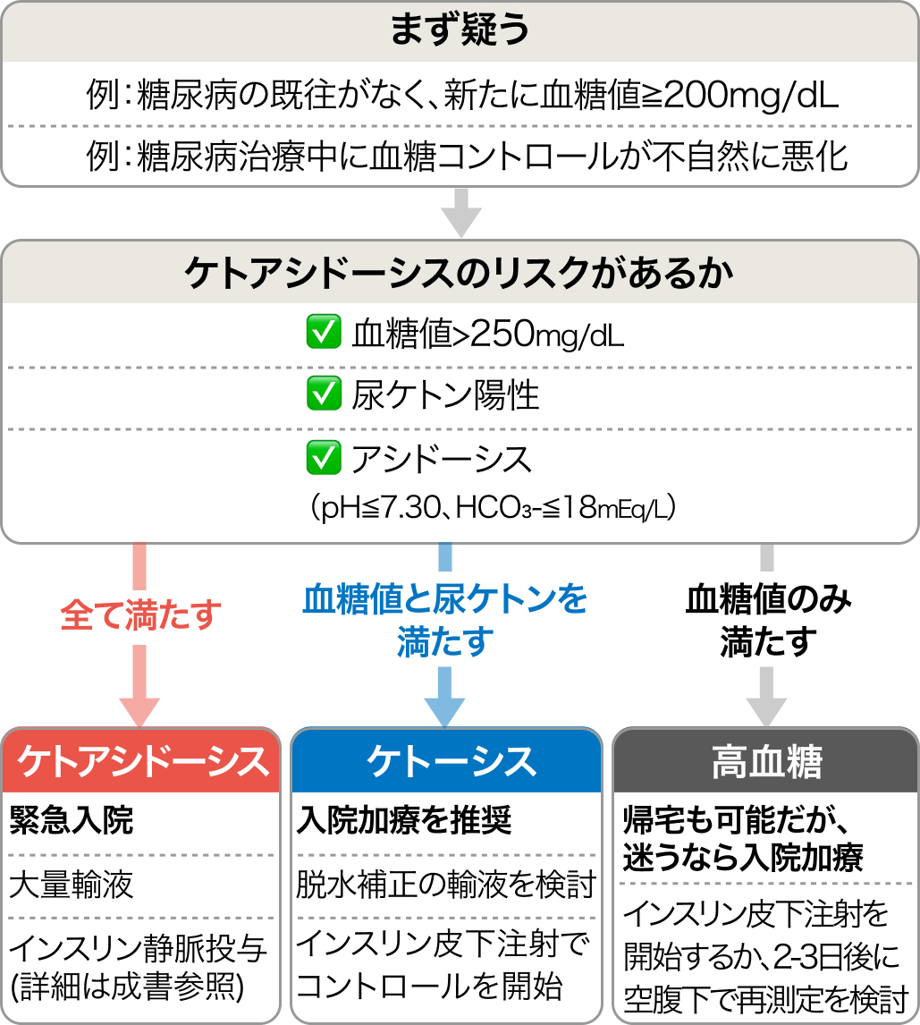 【irAE】1型糖尿病のマネジメント (京都大学医学部附属病院 山内一郎先生)