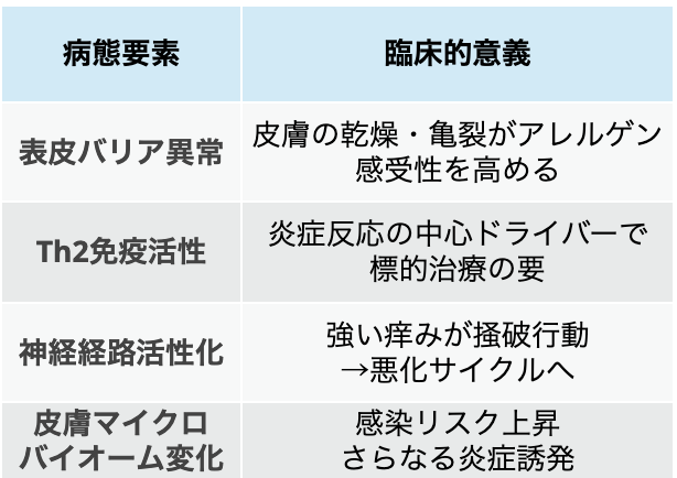 【Lancet】アトピー性皮膚炎 総説 ｢何が分かる？｣