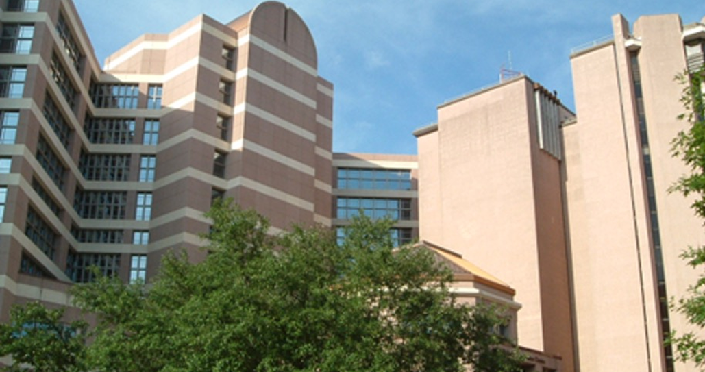  ｢がん薬物療法を未来につなぐ｣ 関西医科大･金井医師 (前編)