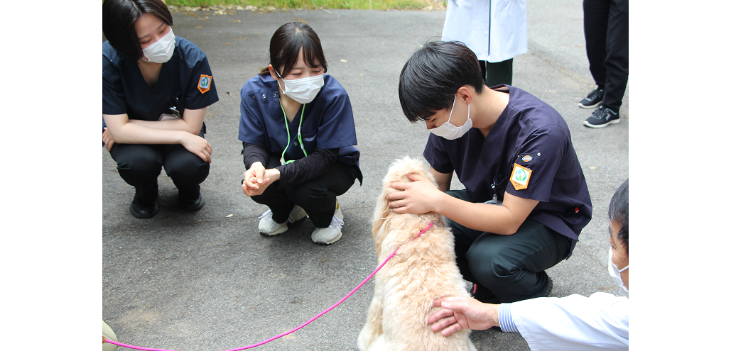 「満床続く病床、“村”で育てる」鳥取大学医学部精神行動医学分野・岩田医師 （後編）