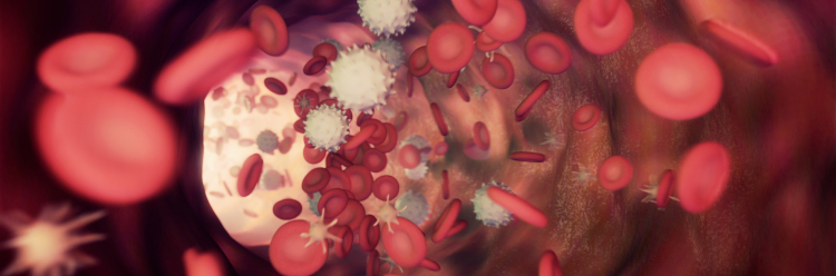 【Lancet】一次性免疫性血小板減少症にエフガルチギモドが有効