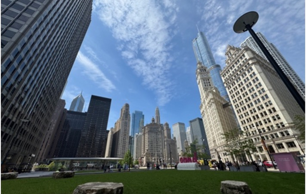 【ASCO 2025】学術集会発表レポート : 辻野 拓也先生 (大阪医科薬科大学 泌尿器科学教室)