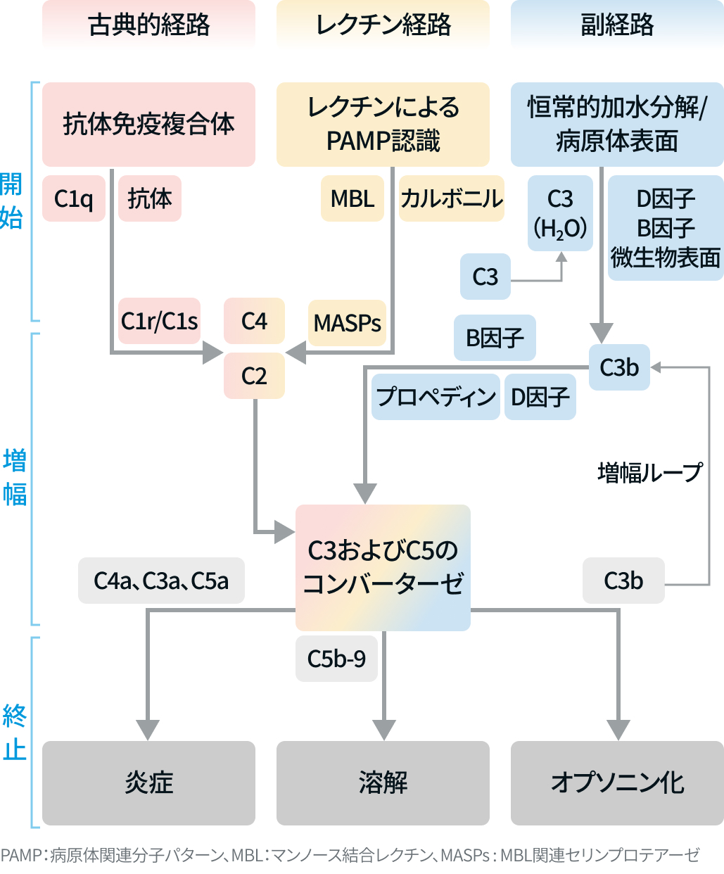 (更新)【人気連載】リウマチ･膠原病診療の疑問を専門医が解説！