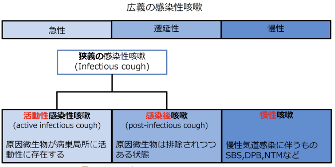 【亀田総合病院内科グランドセミナー2023】長引く咳の見方(永井達也先生)