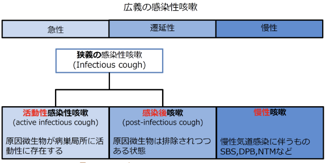 【亀田総合病院内科グランドセミナー2023】長引く咳の見方（永井達也先生）