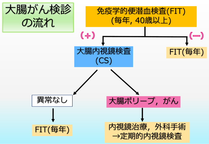 【亀田総合病院内科グランドセミナー】大腸ポリープの診かた･考え方