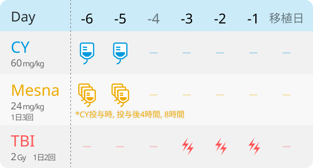【CY/TBI療法】骨髄移植前レジメンを随時アップデート！ぜひご利用下さい.
