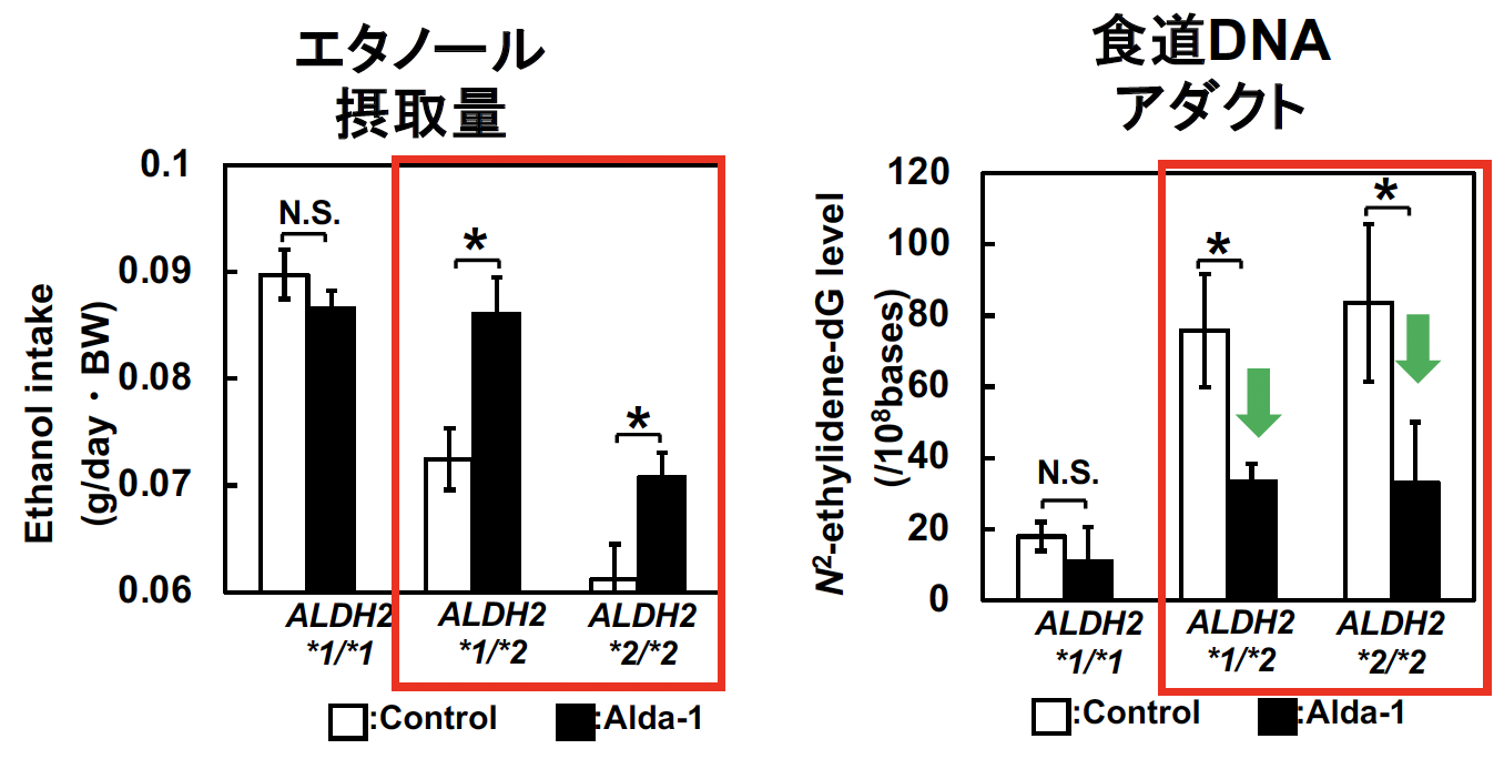 アルコール健康障害を防ぐ食道癌予防薬の開発 (特集第3回)