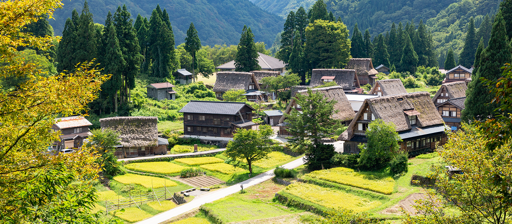 【北陸･東海】母校の ｢あるある｣ エピソード