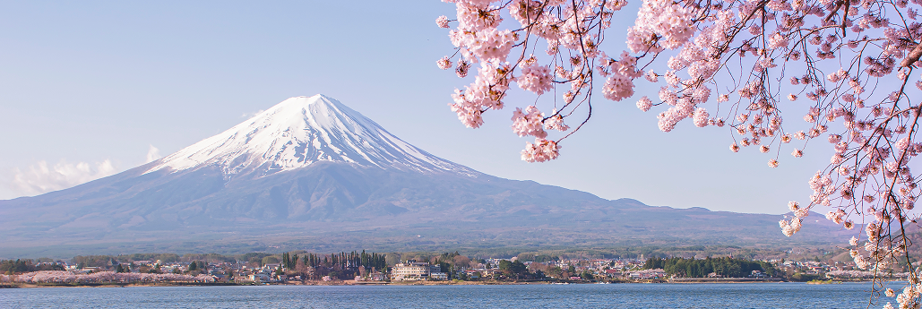 好調な日本株、 投資してもいい?