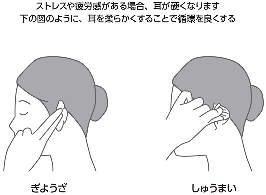 医師の疲労に効く 「お腹温め習慣」