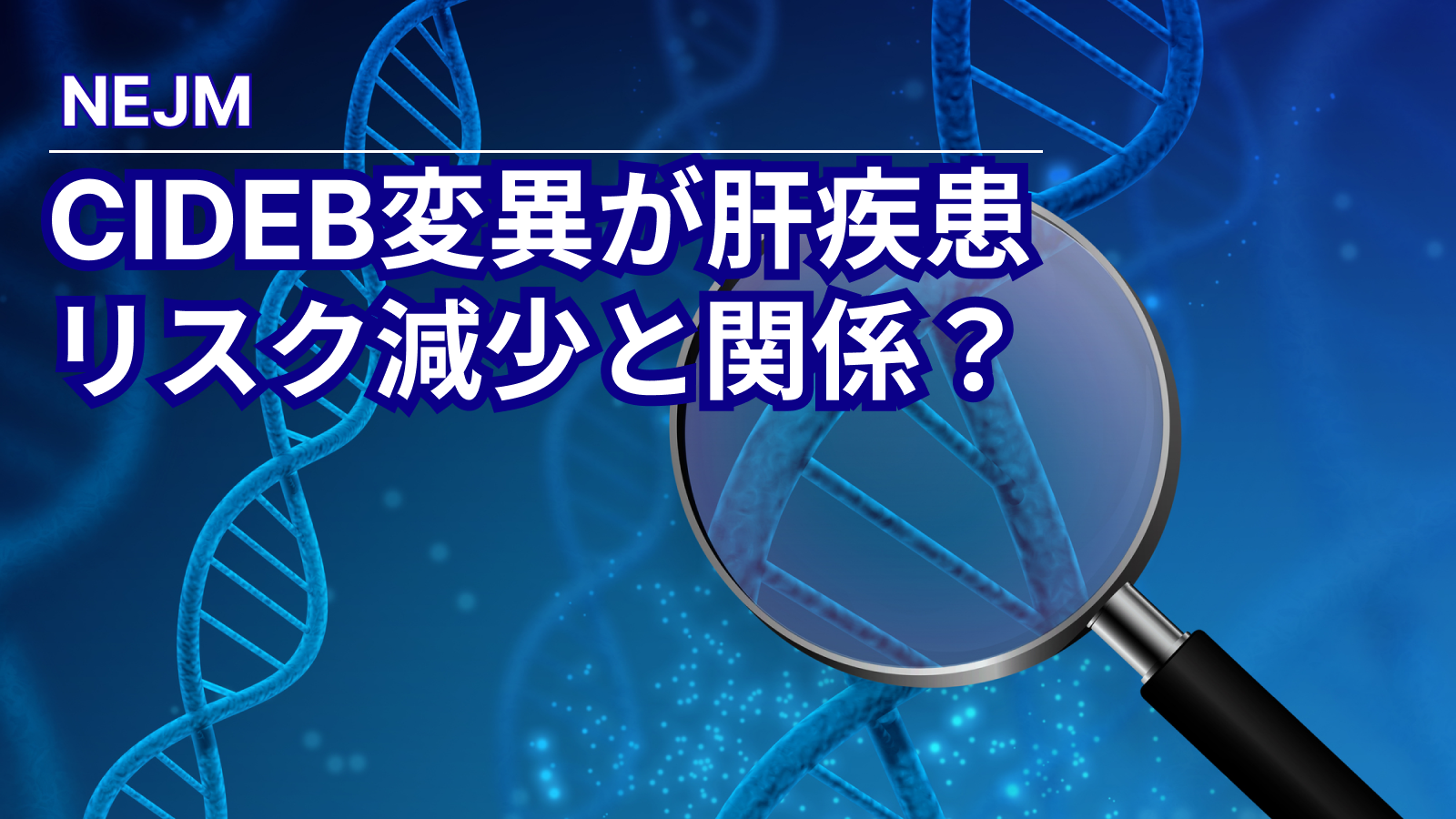 【NEJM】脂肪滴表面蛋白質である｢CIDEB｣の変異､ 肝疾患リスク減少と関係 