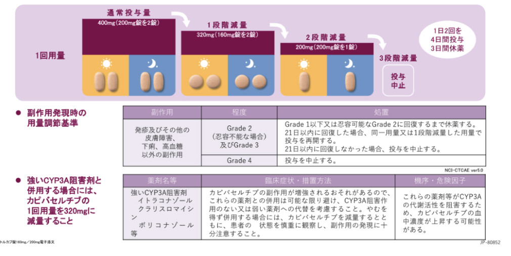 【乳腺】承認済または承認間近の新規薬剤5選