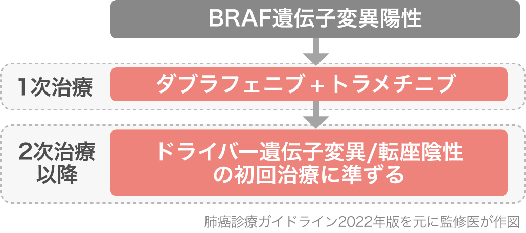 【レジメンまとめ】Ⅳ期 非小細胞肺癌 NSCLCと分子標的薬 (適正使用ガイドとレジメン)