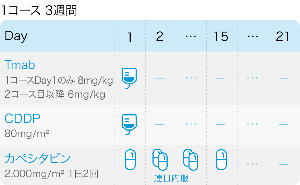 【ToGA試験】未治療胃・胃食道接合部癌へのトラスツズマブ+化学療法