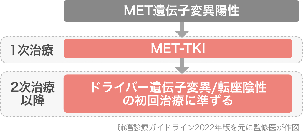 【レジメンまとめ】Ⅳ期 非小細胞肺癌 NSCLCと分子標的薬 (適正使用ガイドとレジメン)