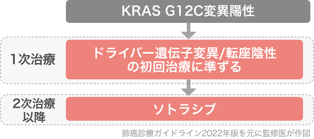 【レジメンまとめ】Ⅳ期 非小細胞肺癌 NSCLCと分子標的薬 (適正使用ガイドとレジメン)