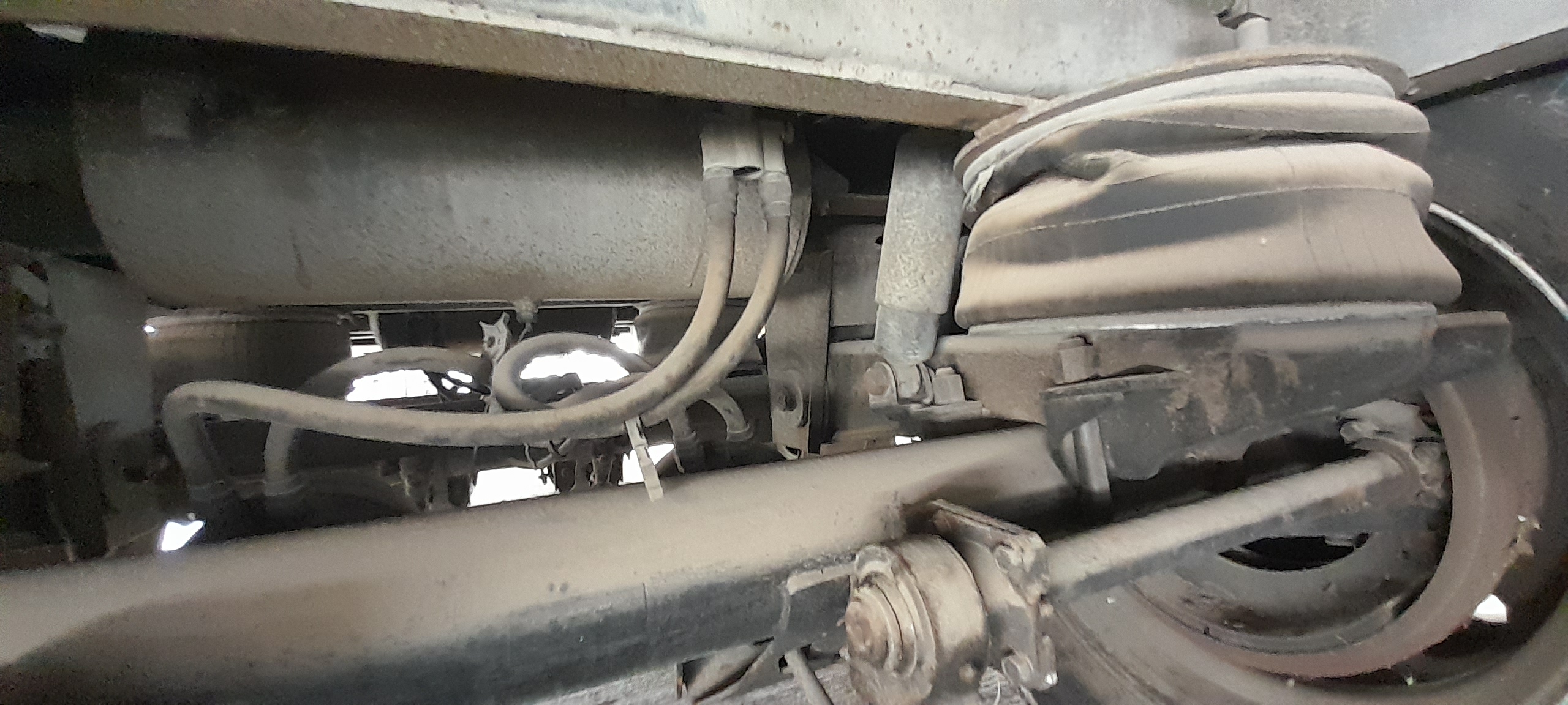 thumb 43