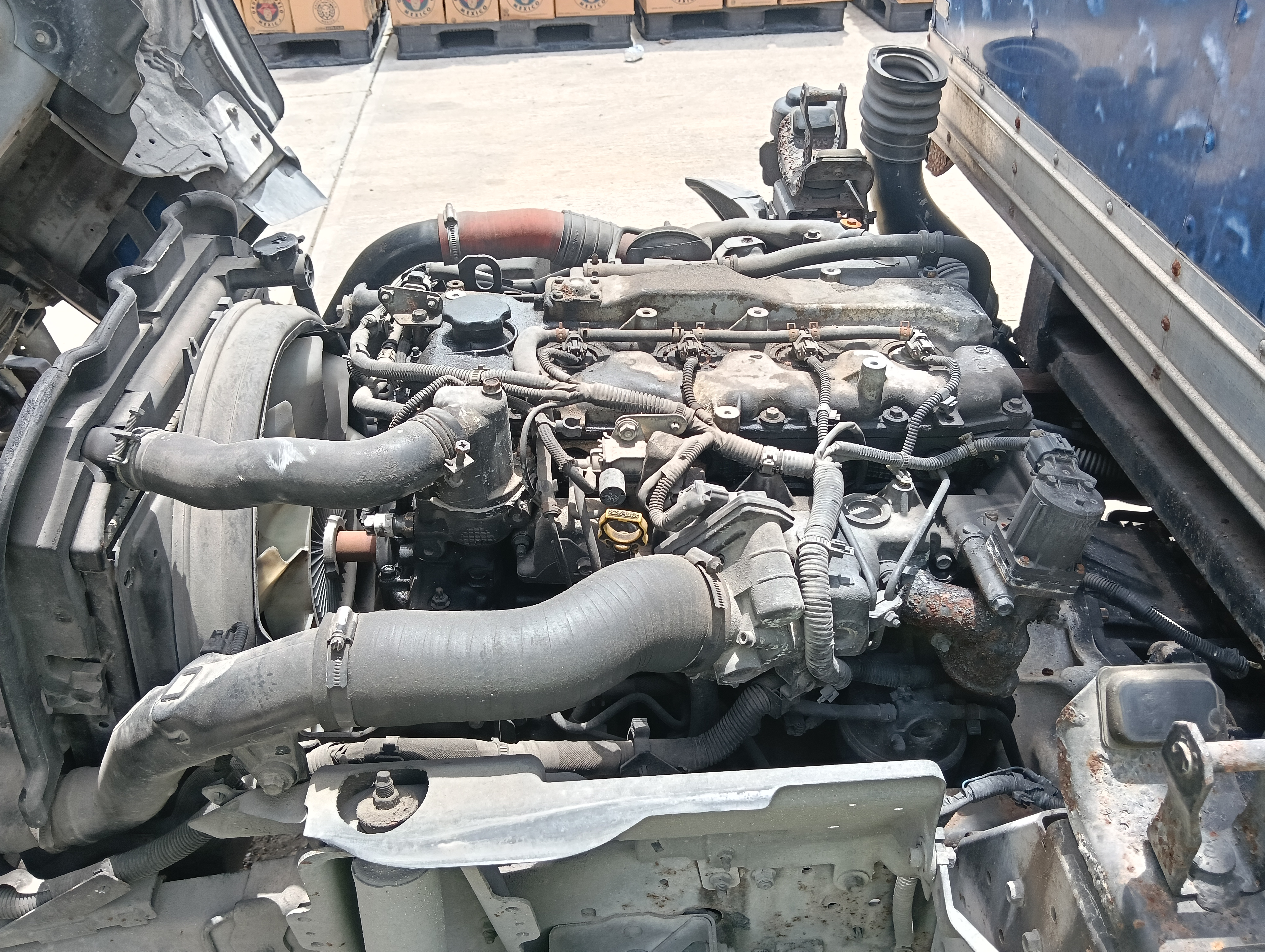 thumb 52