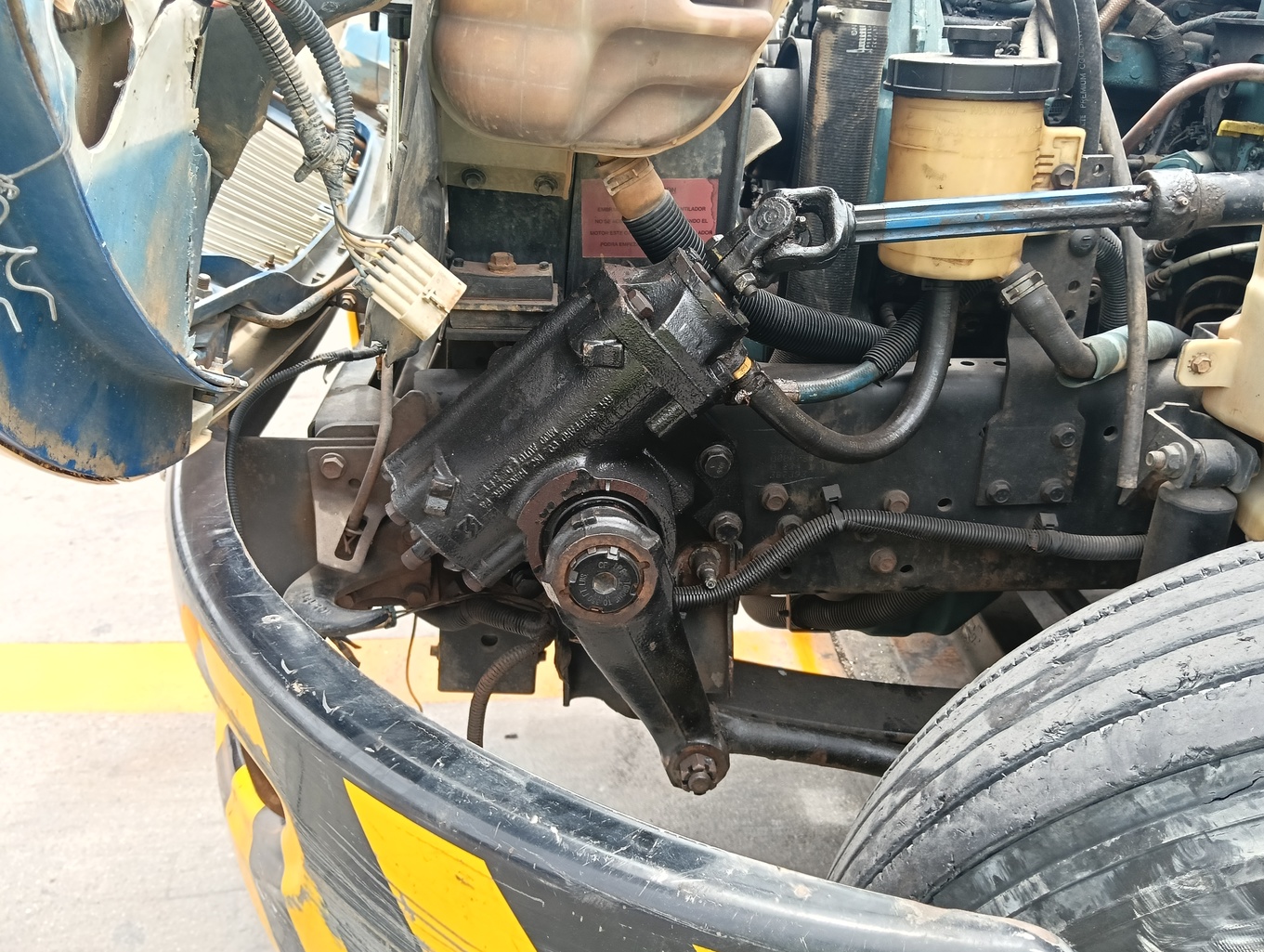 thumb 81