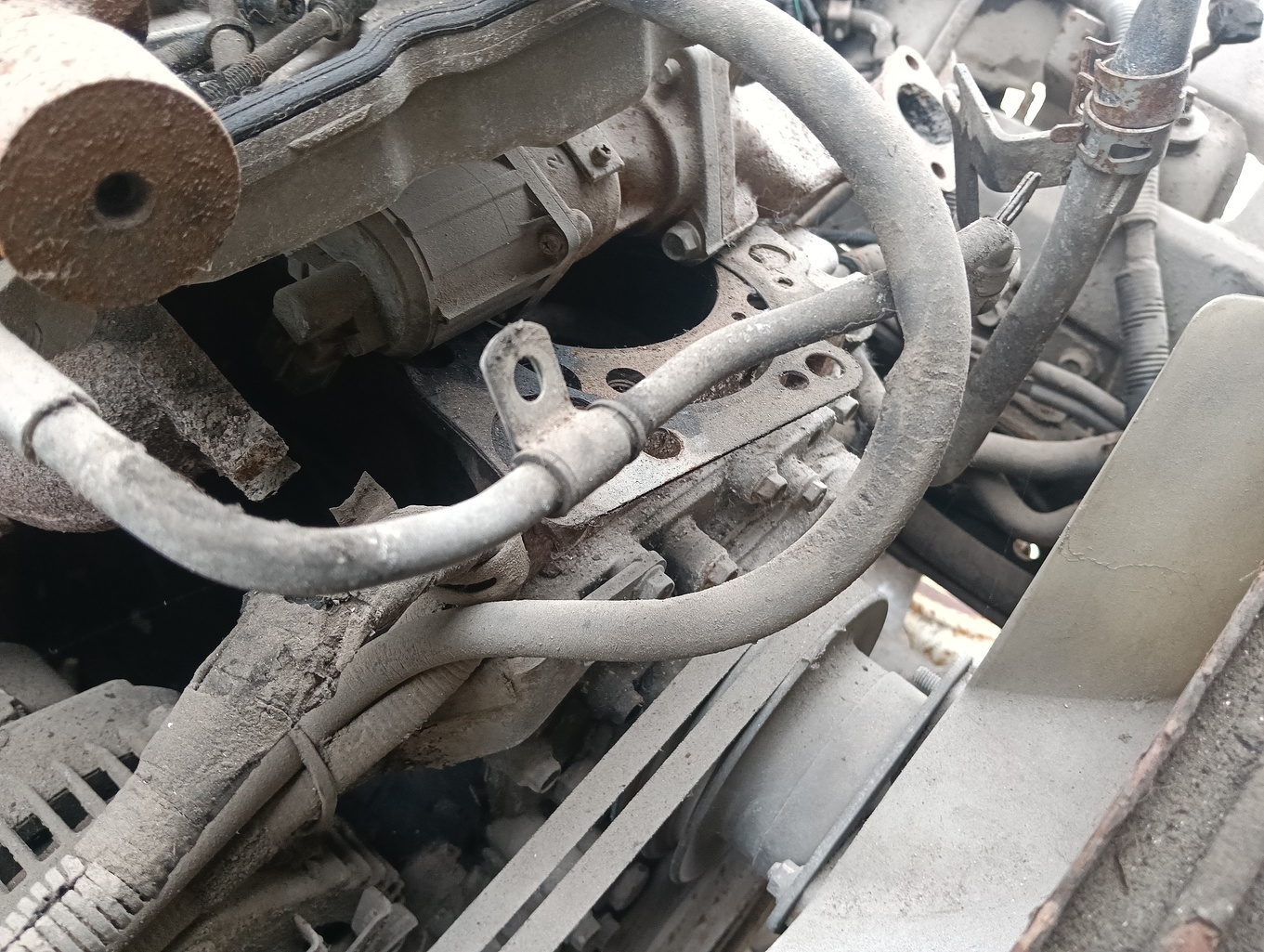 thumb 81