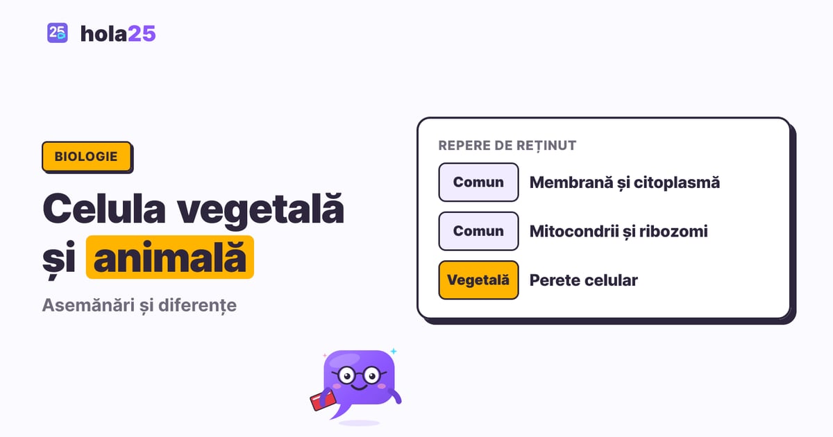 Celula vegetală și animală: diferențe și asemănări. Comun: Membrană și citoplasmă. Comun: Mitocondrii și ribozomi. Vegetală: Perete celular.