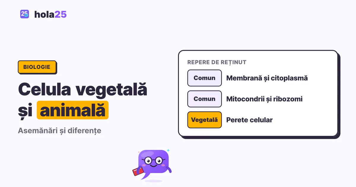 Celula vegetală și animală: diferențe și asemănări. Comun: Membrană și citoplasmă. Comun: Mitocondrii și ribozomi. Vegetală: Perete celular.