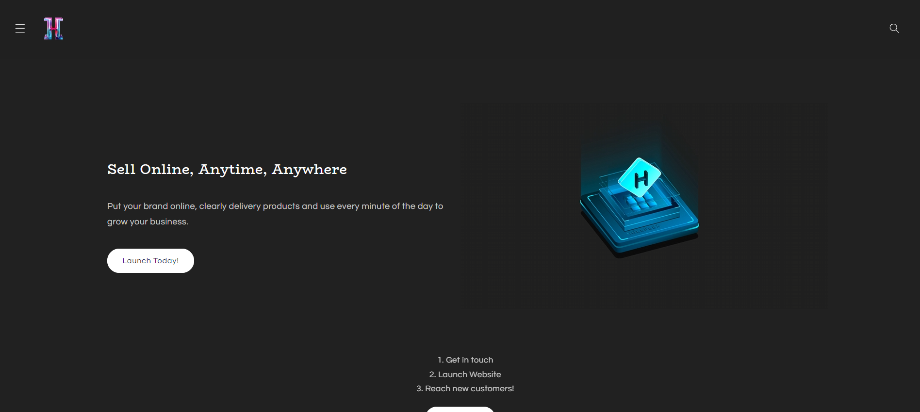 Old Hollplex Site on Shopify