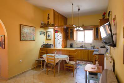 Sofia's House