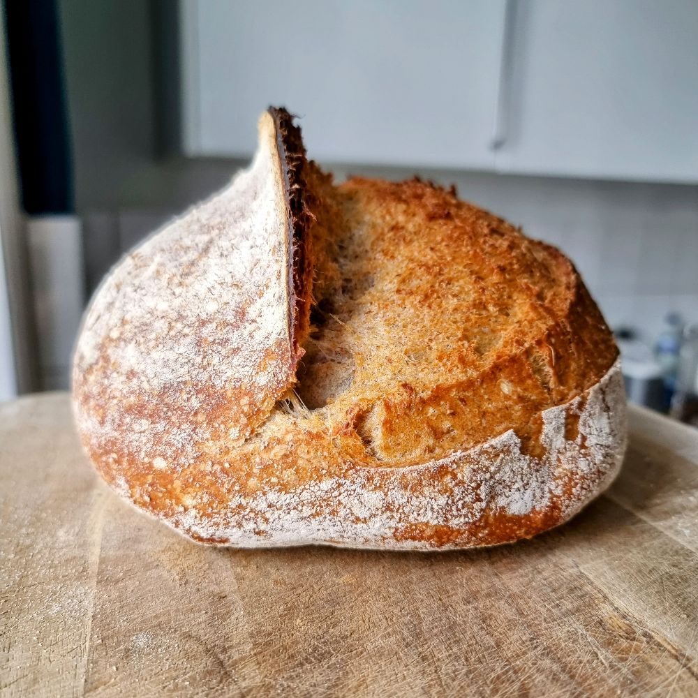 Homebaker beginner sourdough recipe