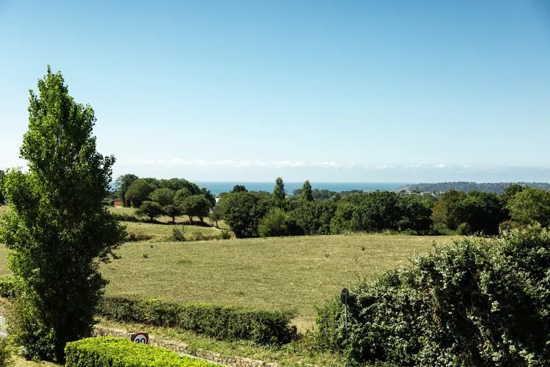 4 Cape View — photograph 5