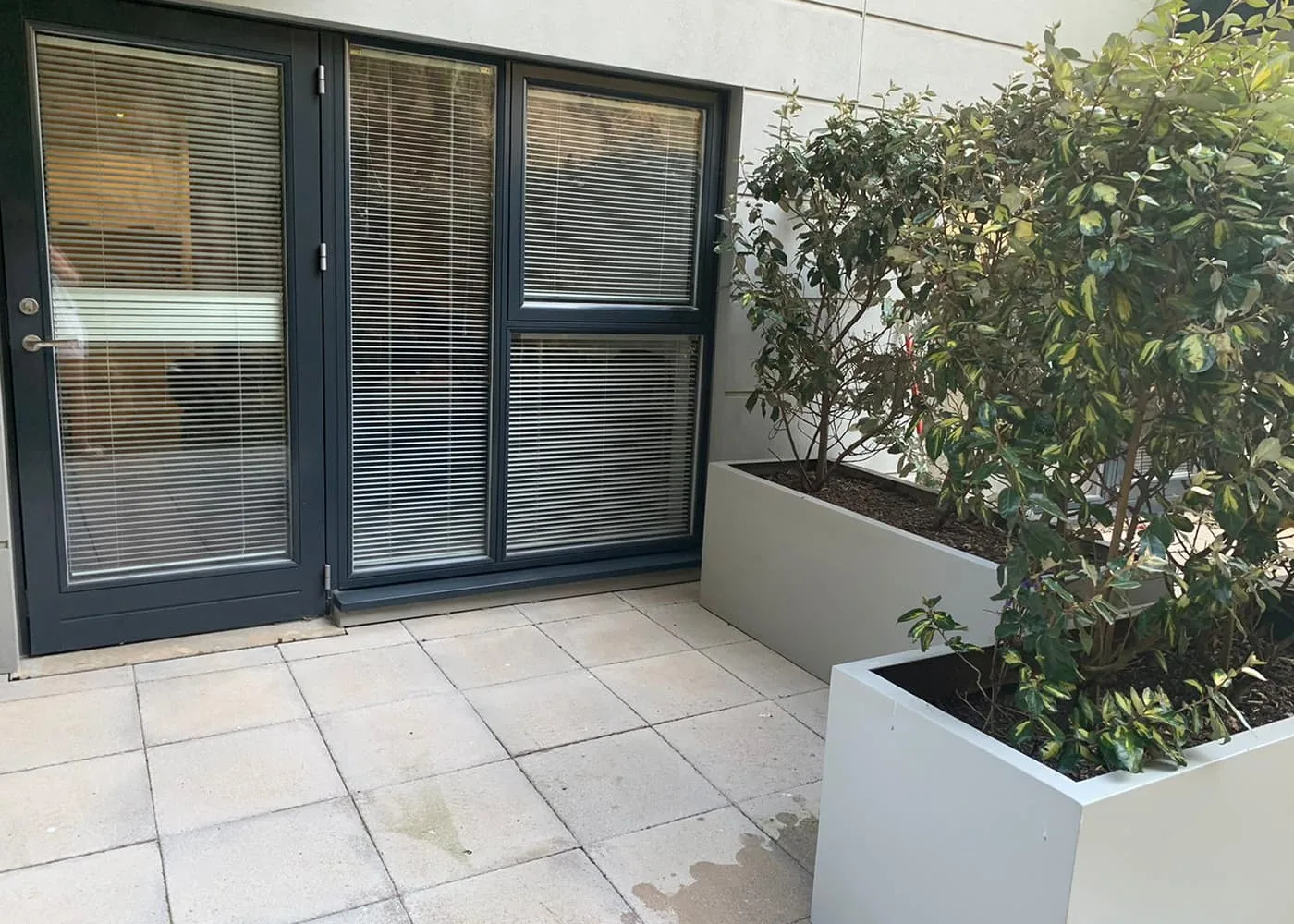 B008 Terrace at Westmount