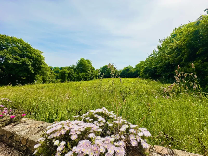 A Rare Piece of Jersey History! Detached Family Home with Converted Bunker Basement — photograph 3