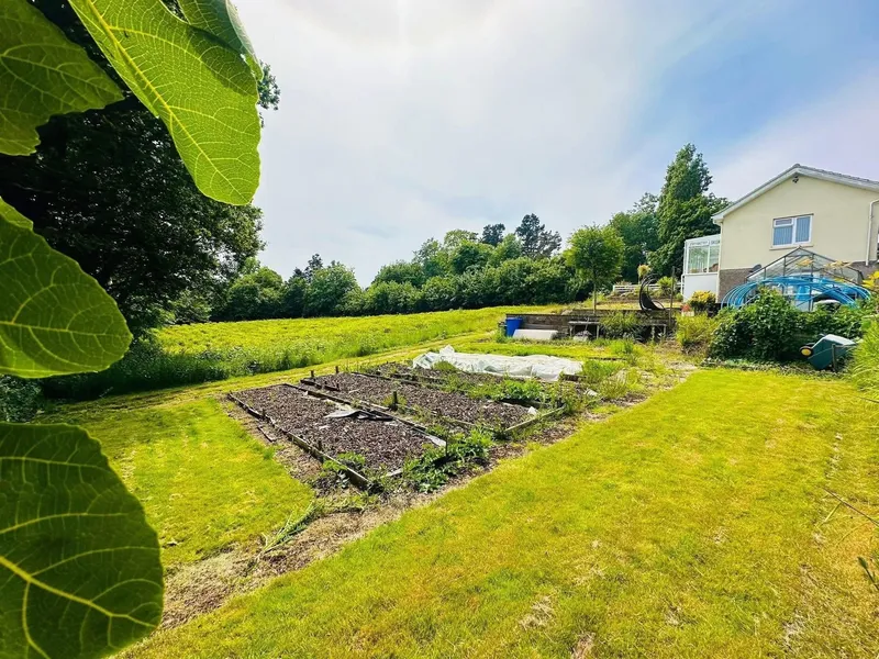 LARGE UNIQUE TWO-GENERATION HOME WITH RURAL VIEWS & COMPLETE PRIVACY — photograph 5