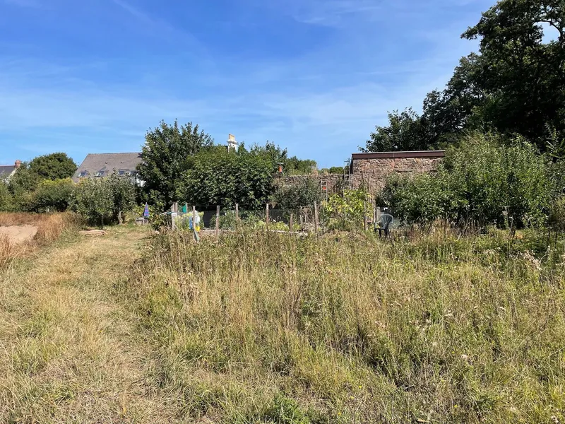 Granite Outbuilding for Potential Development and Adjoining 2.2 v Equine Approved Field — photograph 8