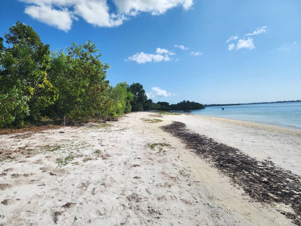 Cheap property in Pemba, Zanzibar