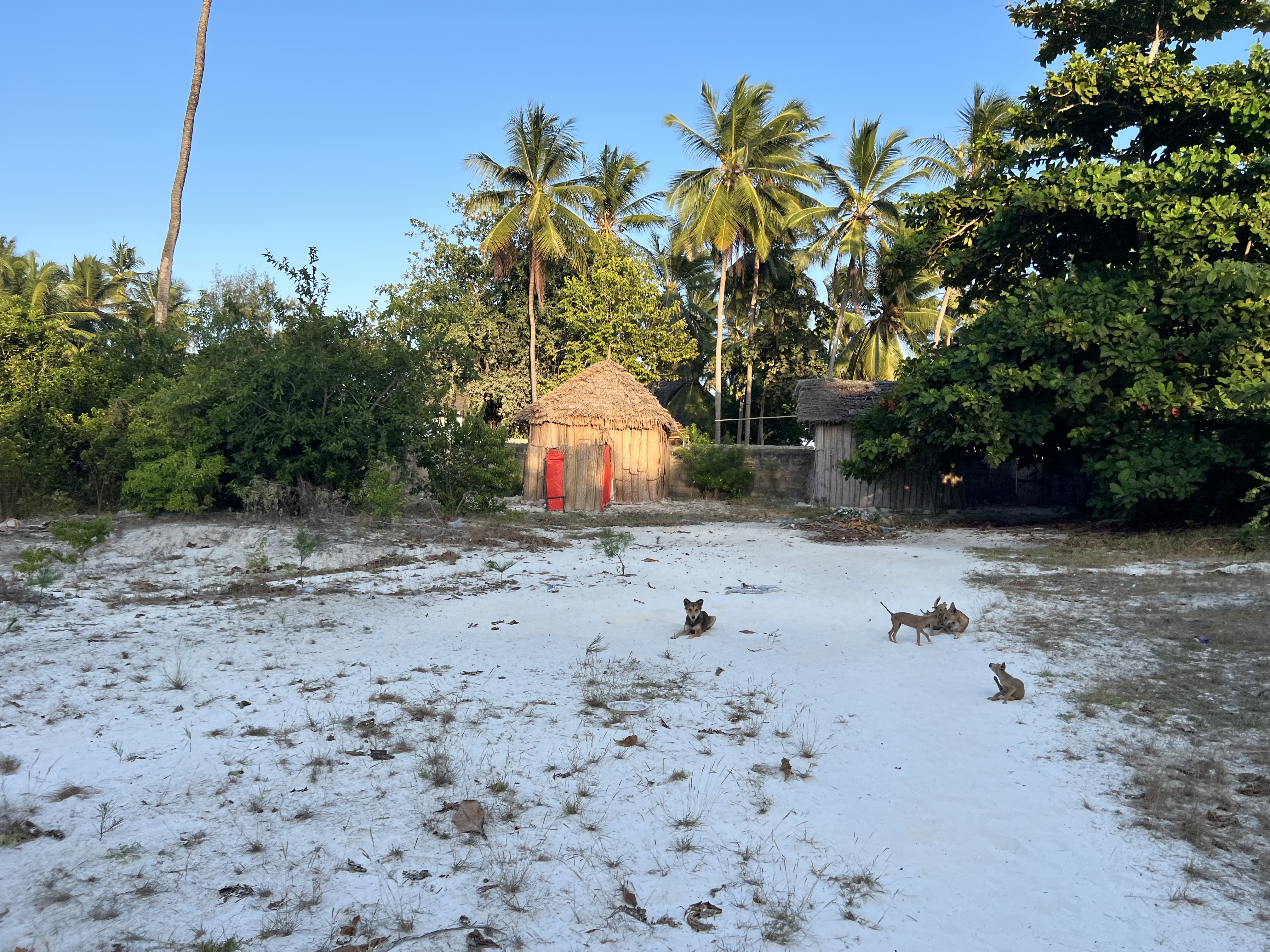 Properties for sale in Paje, Zanzibar