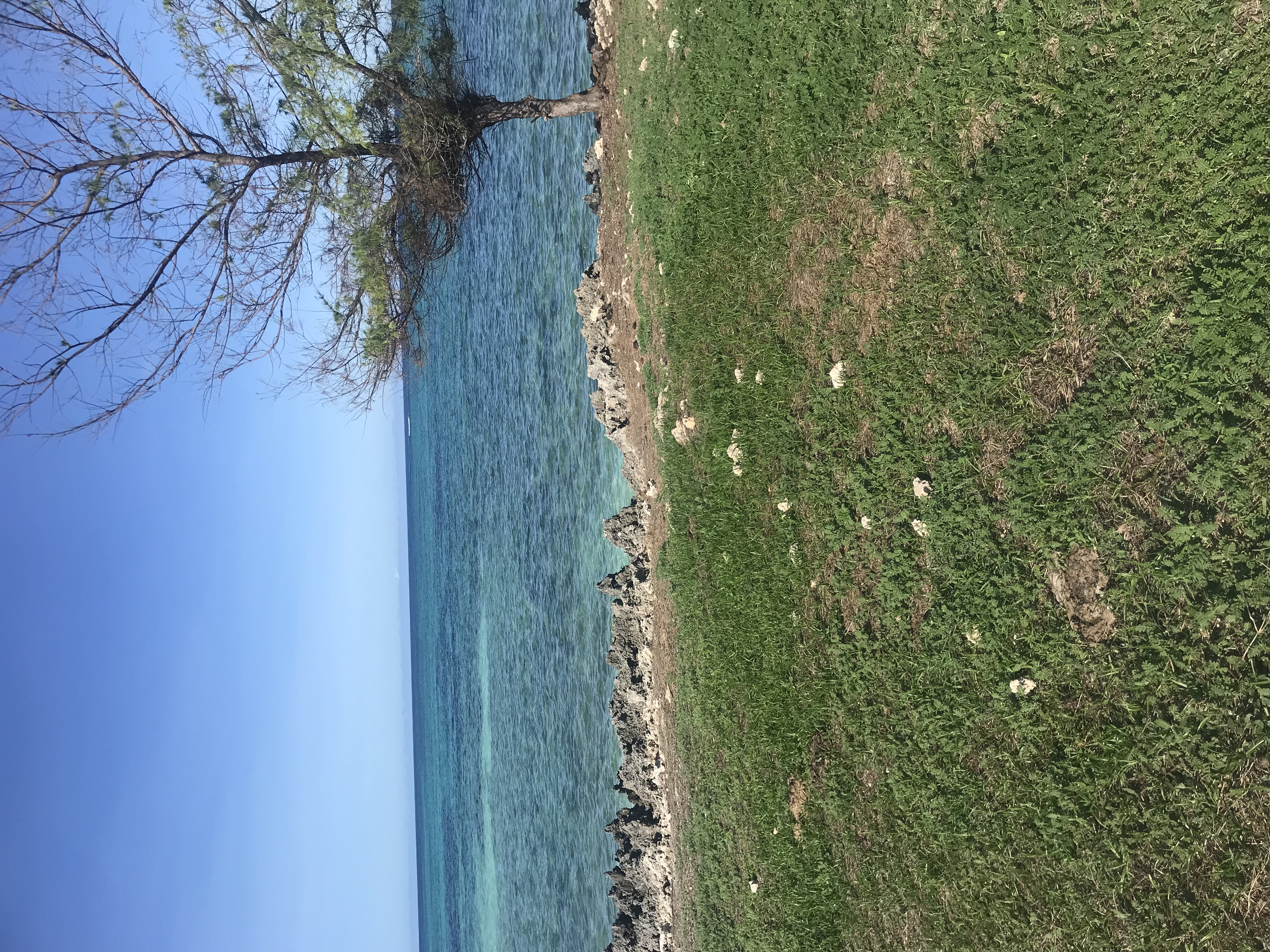 Properties for sale in Makunduchi, Zanzibar